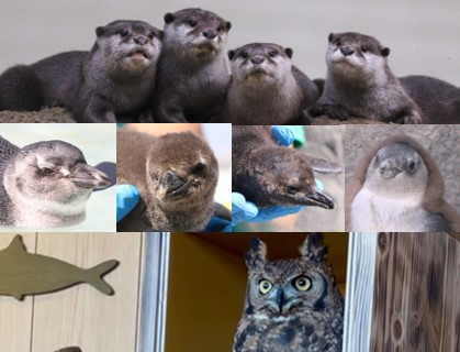 20250423うみの杜GWKV