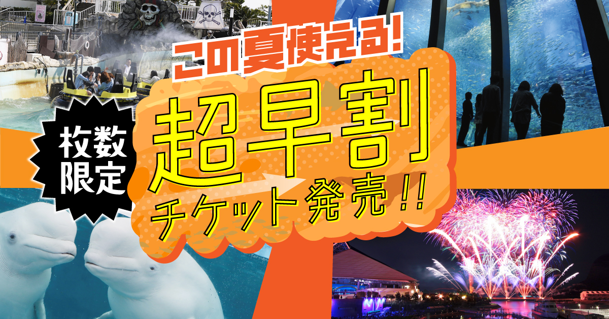 2505_seapara_hayawari