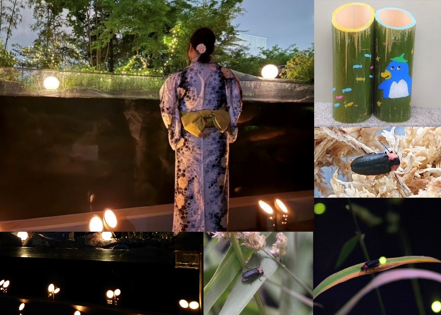 20250606hotarunightKV