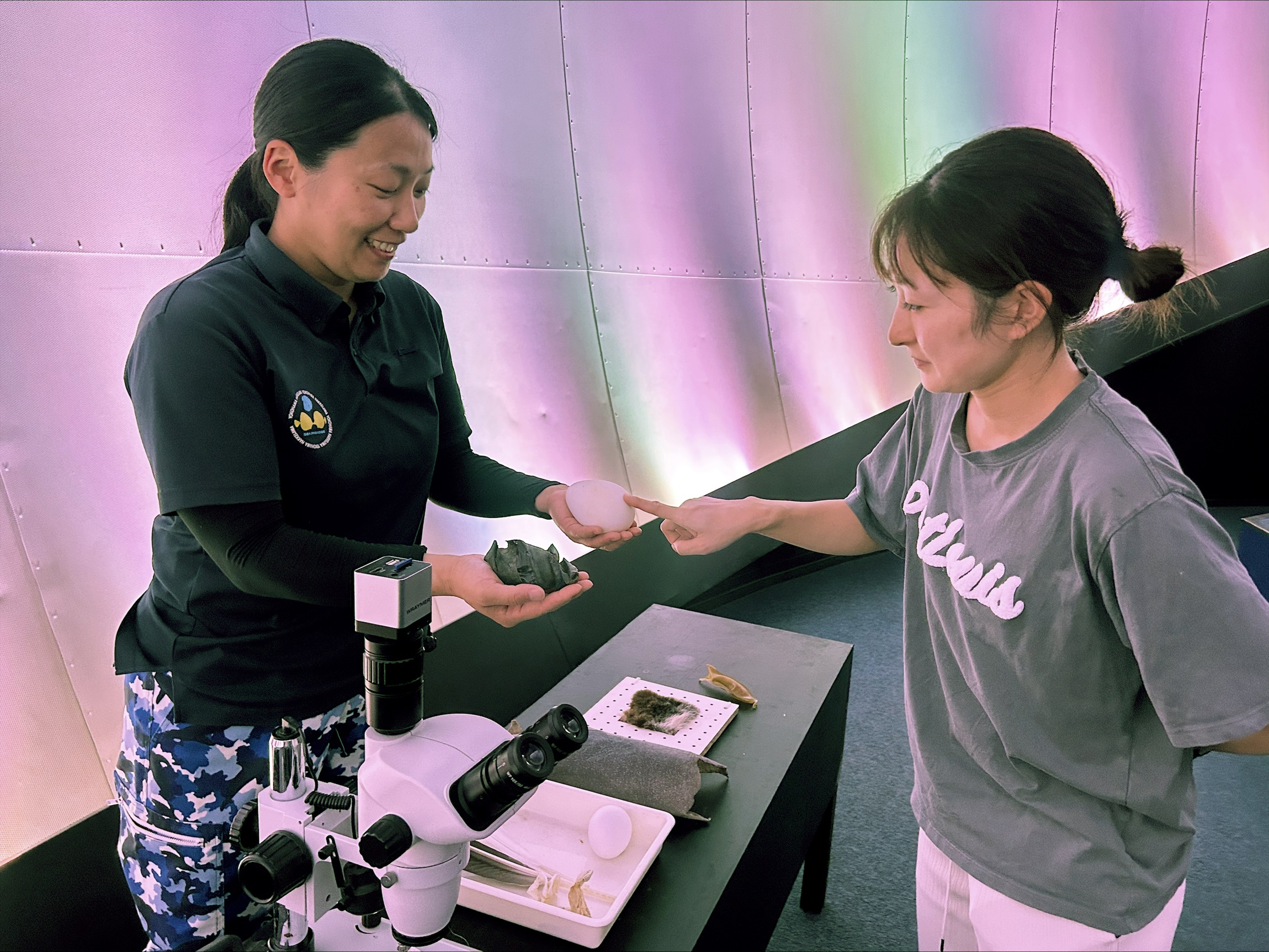 シーパラいきもの教室