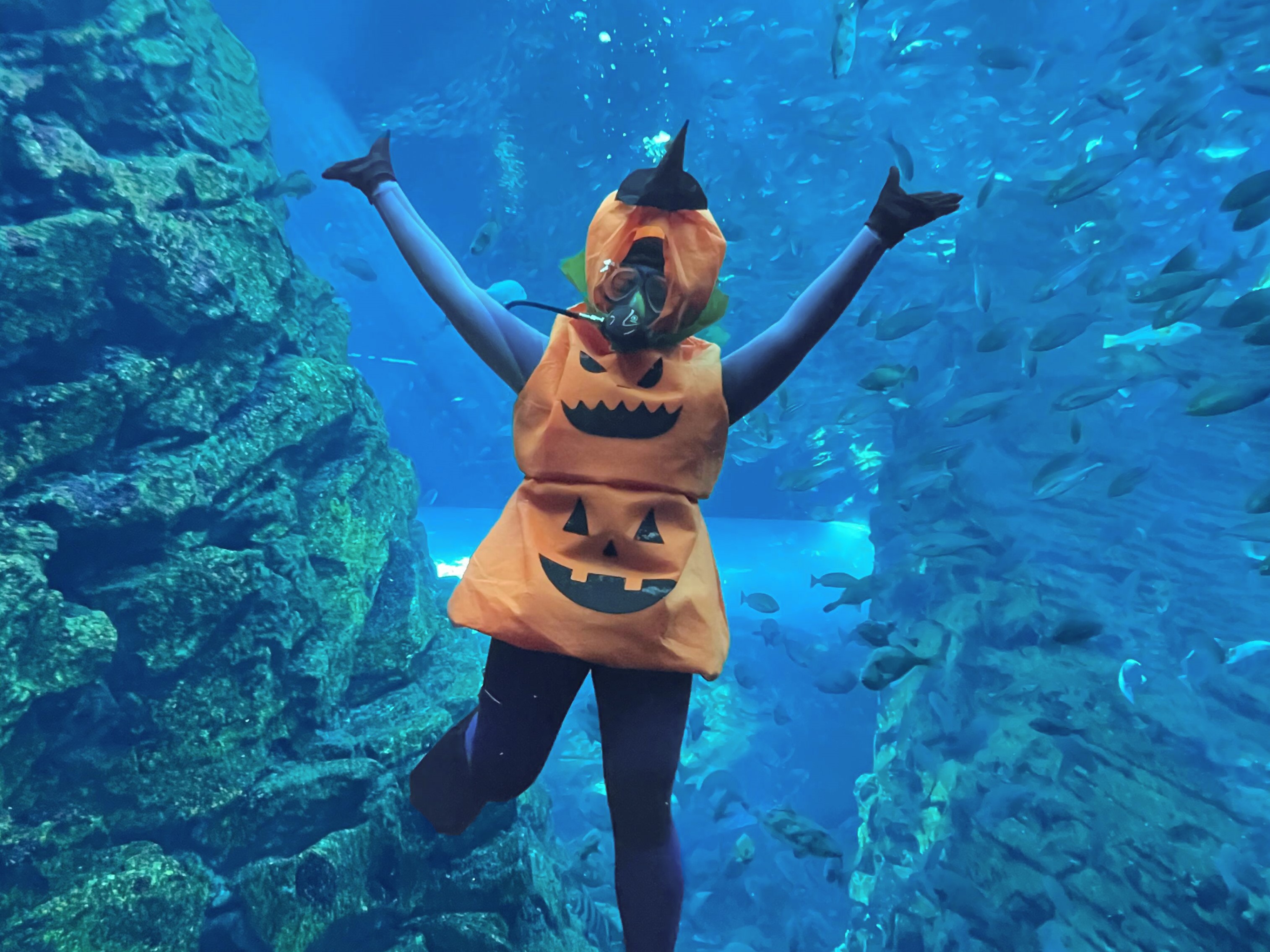 かぼちゃダイバーアップ