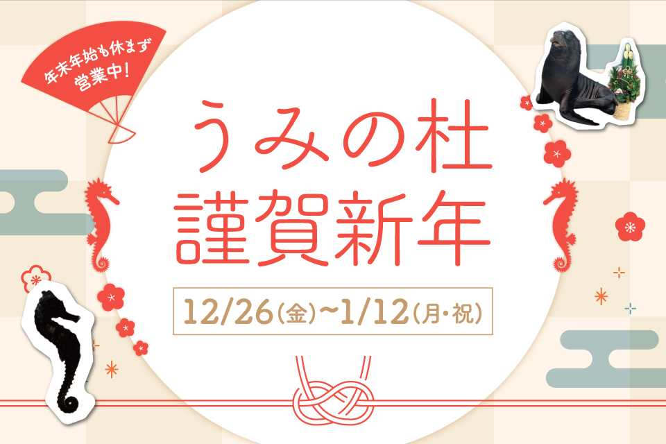 20251226_syougatu_KV