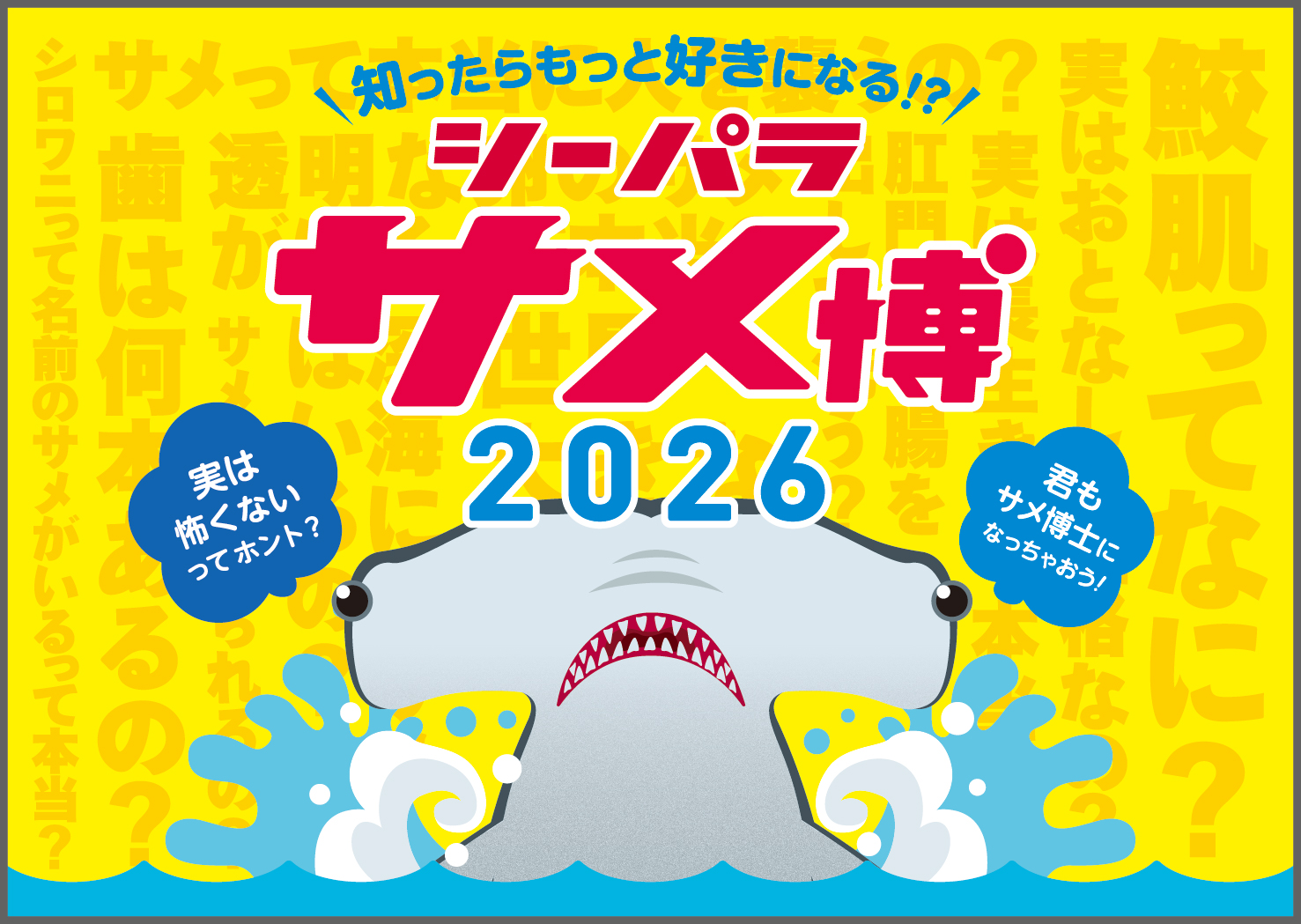 【シーパラ サメ博2026】KV