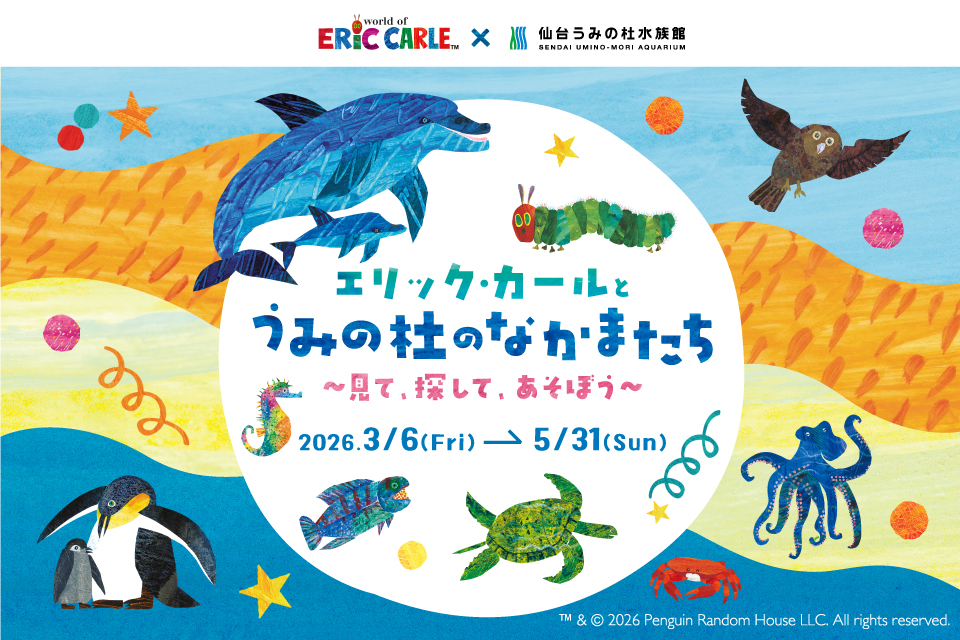 0129_EC_uminomori_banner_960x640