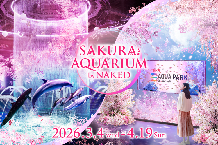 20260304SAKURA750500