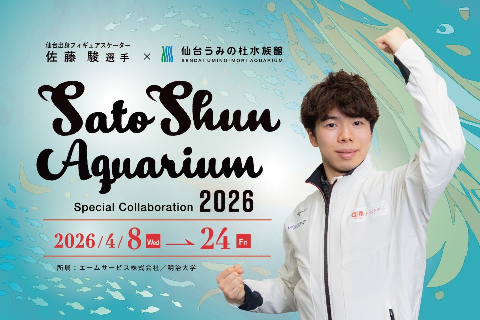 20260408_satoshun_KV