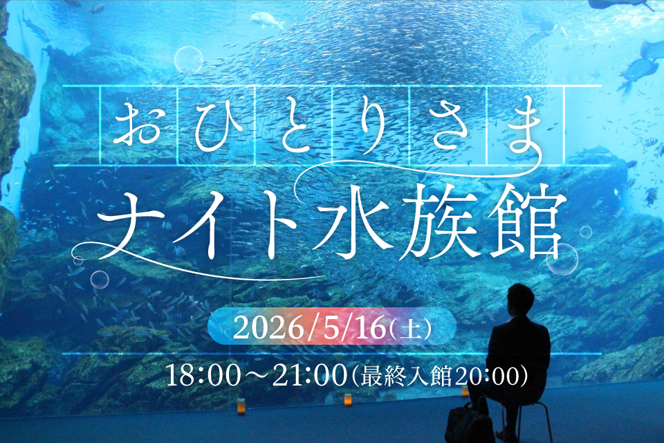 20260516_ohitorisama_KV