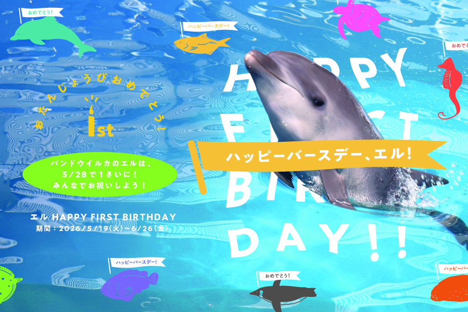 banner_960×640
