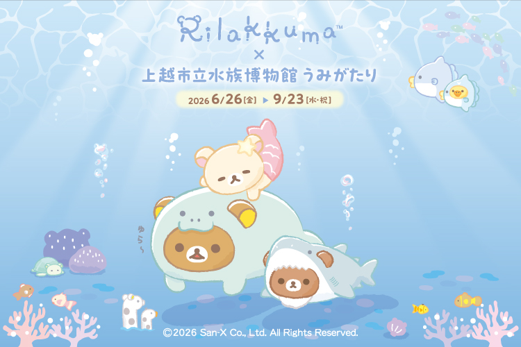rilakkuma_topics